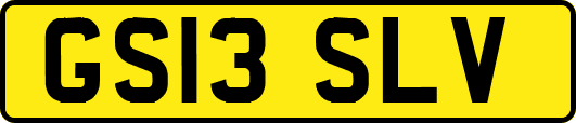 GS13SLV