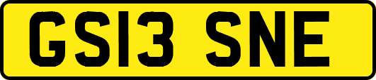GS13SNE