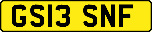 GS13SNF