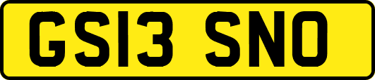 GS13SNO