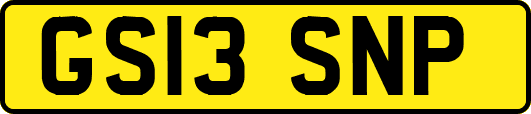 GS13SNP