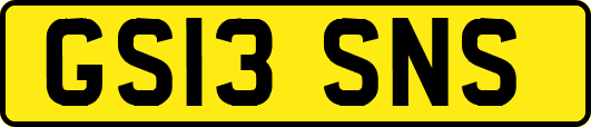 GS13SNS