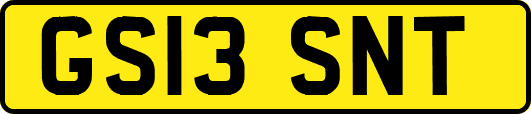 GS13SNT