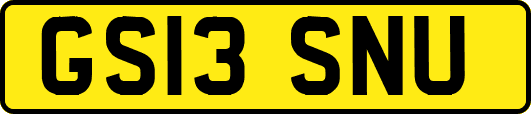 GS13SNU