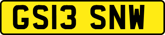 GS13SNW
