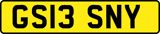 GS13SNY