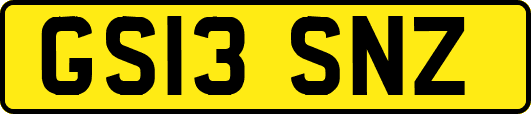 GS13SNZ