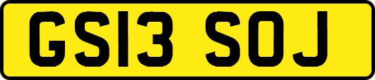 GS13SOJ