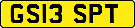 GS13SPT