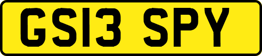 GS13SPY