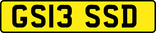 GS13SSD
