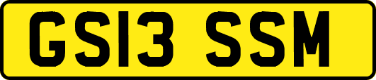 GS13SSM