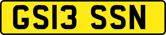 GS13SSN