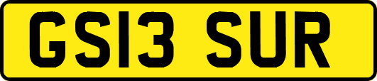 GS13SUR