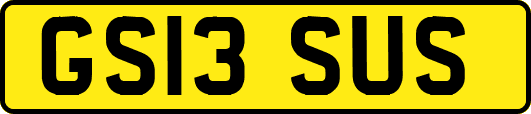 GS13SUS