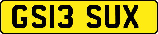 GS13SUX