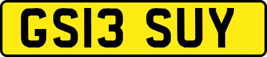 GS13SUY