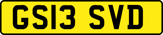 GS13SVD