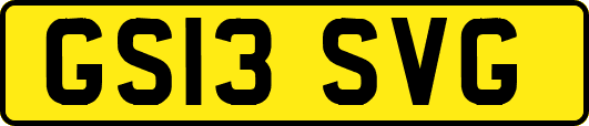 GS13SVG