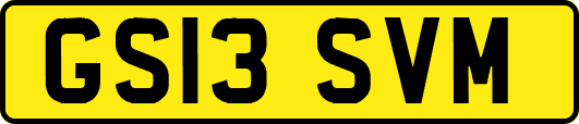 GS13SVM
