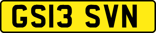GS13SVN