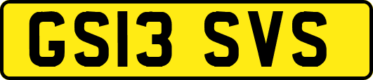 GS13SVS