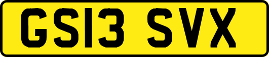 GS13SVX