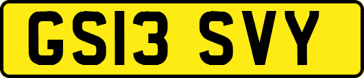 GS13SVY