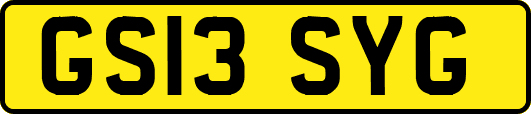 GS13SYG