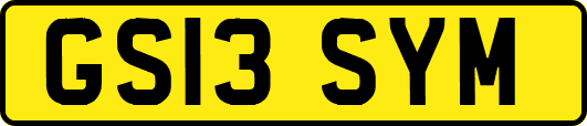 GS13SYM