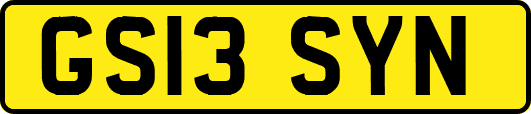 GS13SYN