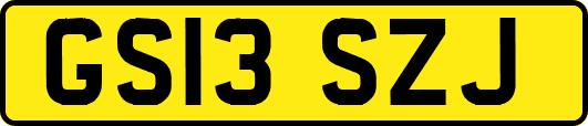 GS13SZJ
