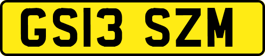 GS13SZM