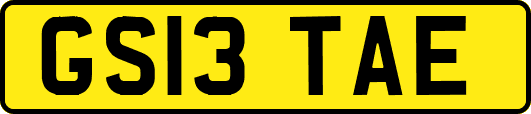 GS13TAE