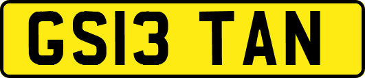 GS13TAN