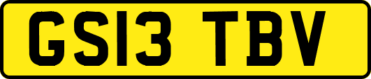 GS13TBV