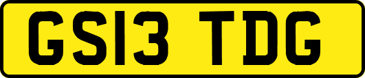 GS13TDG