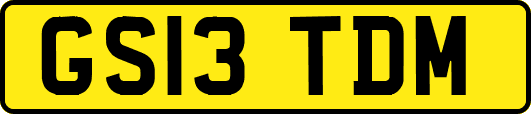 GS13TDM