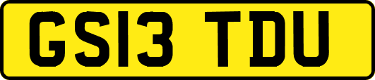 GS13TDU