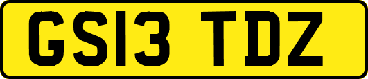 GS13TDZ