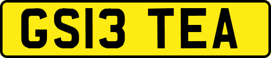GS13TEA