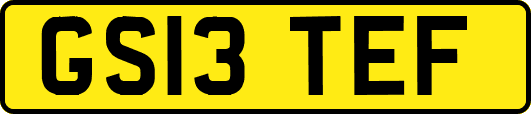 GS13TEF