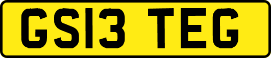 GS13TEG