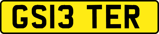 GS13TER