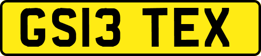 GS13TEX
