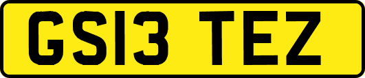 GS13TEZ