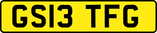 GS13TFG