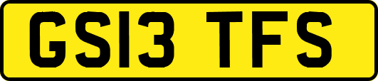 GS13TFS