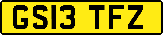 GS13TFZ