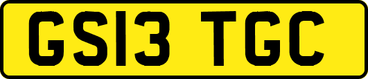 GS13TGC